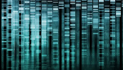 Data Coverage Evaluation