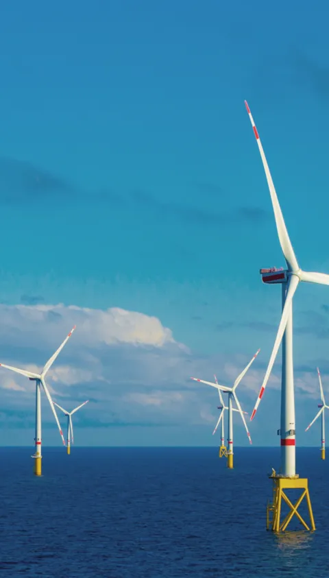 Software for fixed offshore wind